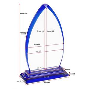 Trofeo Decorativo in Vetro Trasparente Blu 190X120X10 Mm Design Moderno per Esposizione Premi - Product Image 2