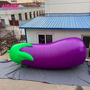 inflatable eggplant