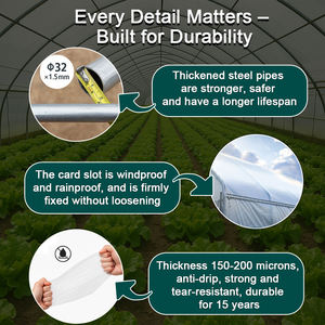 Nouvelle Arrivée Serre De Légumes Jardin Serre Verte Maison Cadre En Métal Film Plastique Tunnel <span class=keywords><strong>Serres</strong></span> Agriculture - Product Image 4