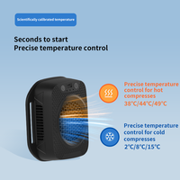 Appareil de thérapie par compresse chaude et froide sans fil pour le corps entier, cube thermique pour la récupération sportive, appareil de thérapie chaude et froide