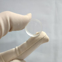 Plano Concave Lens Mini Optical Glass Lens Diameter 18mm Wholesale OEM ODM Support for Projectors Camera Instruments