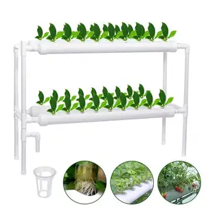 Hydroponics NFT System Manufacturer Square PVC Tube for Leafy Vegetable Hydroponic Greenhouse System