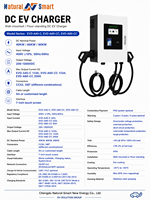 Connecteurs de charge double 40kW 60kW 80kW GBT CCS2 Wallbox DC EV Charger Station de charge compacte commerciale avec OCPP