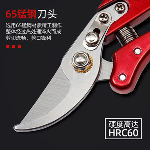 Nice Pruning Shears Stainless Steel 53mm Blade 10-20mm <b>Trimming</b> Diameter Garden Orchard Use - Product Image 3
