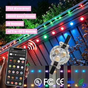30MM 12V 24V 36V Rgbw Pixel <b>Point</b> <b>Lights</b> IP68 Permanent Track <b>Light</b> Smart App Controller Christmas Decorative Lighting - Product Image 1
