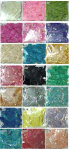 Tszs bán buôn 3D nhiều màu móng tay nghệ thuật trang trí không thường xuyên vỏ mảnh với mỏng Sequins Flake tự nhiên lấy cảm hứng từ thiết kế - Product Image 4