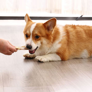 Mascarilla para perros con Orejas de conejo natural, venta al por mayor de fábrica - Product Image 3