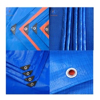 Bâche imperméable de camion de PE de couleur argentée de 5x10m