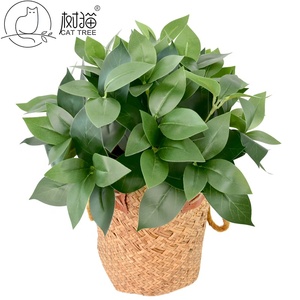 Plantes artificielles en faux toucher, feuilles porte-bonheur, bonsaï, plante murale artificielle pour la décoration de jardin - Product Image 5
