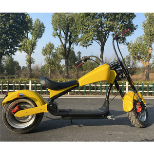 Nuevo Producto en China: Motocicleta de Dos Plazas E para Alquilar - Product Image 3