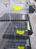 Cage d'élevage pour cailles, Cage tridimensionnelle pour perdrix, Nettoyage automatique du fumier, Cage galvanisée, Cage d'alimentation automatique des œufs