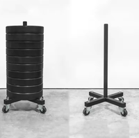Support de rangement mobile pour haltères et barres SM avec roulettes lisses – Support de plaques de poids peu encombrant pour salle de sport