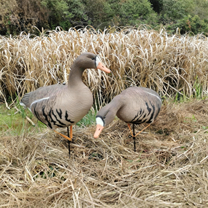 Décoy de chasse au canard à poils blancs 3D pliable de qualité supérieure, flottant, attracteur d'oiseaux aquatiques d'extérieur, en mousse EVA durable, auto-rétractable - Product Image 4