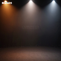 Projecteur LED Par COB 200W à Haute Luminosité, 1 Oeil, Blanc Froid et Blanc Chaud, DMX512, pour Événements et Location en Église