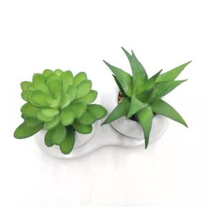 Artificial Succulents <strong>Plant</strong> <strong>Ceramic</strong> <strong>Pot</strong> with Tray - Product Image 3