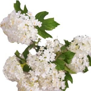 <span class=keywords><strong>ดอกไม้</strong></span>ไฮเดรนเยียประดิษฐ์จากผ้าไหมดอก Viburnum <span class=keywords><strong>ดอกไม้</strong></span>ตกแต่งงานแต่งงานตกแต่งบ้าน<span class=keywords><strong>ดอกไม้</strong></span><span class=keywords><strong>วัน</strong></span><span class=keywords><strong>วาเลนไทน์</strong></span> - Product Image 5