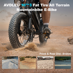 Vélo électrique de montagne AVDL A13, pneus larges de 14 pouces, frein à disque - Product Image 6
