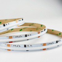Smart Cob Strip 576 Chip/m Kepadatan Tinggi 10mm 24V Addressable Cob Digital Led Strip Dapat Dipotong Magic RGB Led Tape Light UL
