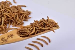 Vers de farine séchés à haute teneur en protéines pour les grenouilles de poissons Additifs alimentaires pour chiens - Product Image 3