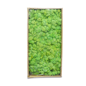 Suministros de decoración de césped artificial moss panel - Product Image 6