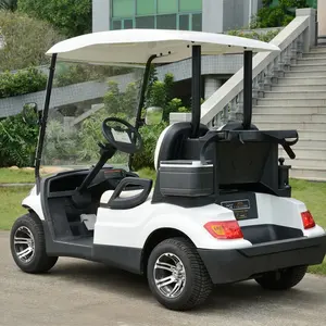 2 Seats Electric Cart Golf Buggy With High Quality Car Electric Conversion Kit