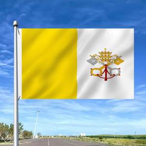 Drapeau mural personnalisé en polyester imperméable 3x5 pieds, promotionnel, vierge, impression numérique, simple face, drapeaux promotionnels - Product Image 6