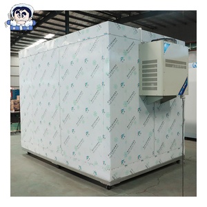 PU 패널과 고효율 냉방을 갖춘 사우디아라비아 육류유통센터 워크인 치킨 냉동실 - Product Image 2