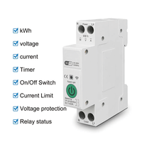 Disjoncteur intelligent WiFi Tuya 63A 2P sur rail DIN avec compteur d'énergie et protection contre les surtensions/sous-tensions à commande à distance