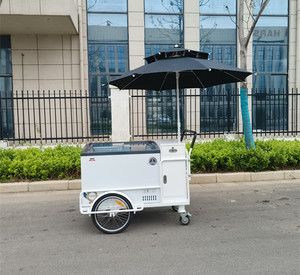 Tricycle de livraison électrique mobile d'extérieur avec congélateur pour la vente de crème glacée - Product Image 1