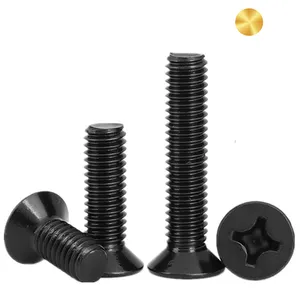 Hot Sale M2 M2.5 M3 M4 Black Mini Phillips Flat Head Screws For Machinery