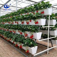 Système hydroponique vertical intelligent pour serre, système de gouttières en A pour fraises, bac de plantation en PVC pour l'agriculture commerciale