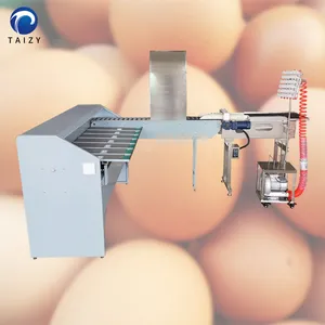 Niveladora automática de huevos de alta calidad, 10000 huevos por hora, clasificadora de huevos