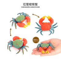Modèles de vie marine en PVC solide, figurines en plastique d'animaux marins, jouets