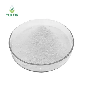 High Quality Sports Supplements L-Glutamine Powder 99% Purity Glutamine Fine Powder 80 Mesh