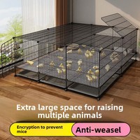 Cage de poulailler robuste en fer, grande cage d'élevage intérieure en treillis métallique pour poussins, cailles et canards - Élevage sécurisé toute saison, sans évasion