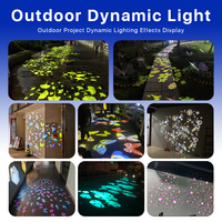 Projecteur LED Extérieur Étanche à Effets Flottants Poissons, Fleurs, Pétales pour Jardin, Paysage, Piscine, Fête, Cour, Lumière d'Ambiance
