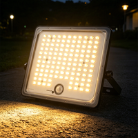 Projecteur LED à économie d'énergie pour jardin, idéal pour l'éclairage extérieur résidentiel et commercial
