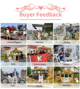 Carruajes de Caballos de Tres Filas Estilo Europeo para Turismo, Carruajes Eléctricos Tirados por Caballos y Carruajes Reales para Bodas en Venta - Product Image 5