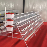AnKong Nouveau type de cage à poules pondeuses, mangeoire pour élevage avicole, équipement automatique pour poussins et poulets de chair, conception de poulailler en fil métallique
