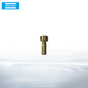 Válvula de Retención Atlas Copco 1613900501 para Compresor de Aire, Accesorio Estándar - Product Image 3