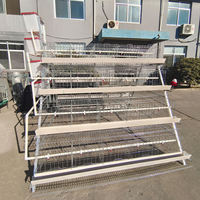 Cage à poules automatique de type A, poulailler pour 1000 poules, neuf, garantie 1 an, usage domestique, exportations, fermes, acier galvanisé