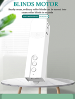 Moteur de volet roulant intelligent Tuya WiFi Zigbee à piles, contrôlé par application vocale, télécommande, stores électriques, tirage de corde pour fenêtre