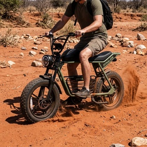 Bicicleta Safari de Color Verde Personalizado, Silenciosa, <span class=keywords><strong>con</strong></span> Motor Trasero sin Escobillas, Bicicleta Eléctrica para Observación de la Vida Silvestre - Product Image 3