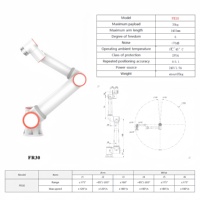 FR30 Nuevo Robot Logístico Autónomo Industrial de 6 Ejes 30kg COBOPalletizer Arm 2085mm Motor PLC Automatizado Pick-Place Paletizing