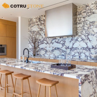 Calacatta Viola Marbre Poli Dalle Pourpre Veine pour Cuisine Comptoir Carrelage Panneau Mural Escalier
