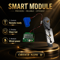 Module 4G à ultrasons pour compteur d'eau, compatible carte SIM, plateforme de gestion gratuite avec API, alimenté par batterie, marque Junrui