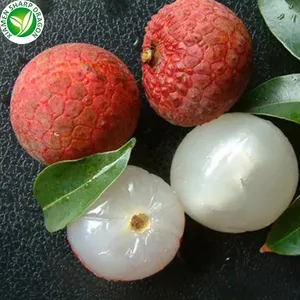 Iqf Biologisch Gepeld Bruin Rood Lychee Fruit Bevroren Grote Zoete Pulp Per Chinese Lychee Noot Pure Ongezoete Prijs Beste Kwaliteit China