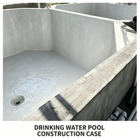 Revêtement liquide LiFeng JS à base de polymère acrylique et de ciment, résistant à l'eau, écologique, pour béton, usage intérieur, rigide et flexible