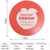 Faites votre propre marque Cosmétiques de haute qualité Poudre Vegan Visage Maquillage Imperméable Longue Durée Mat Réglage Poudre Libre