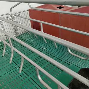 Convient à divers scénarios d'élevage de porcs et de caisses de mise bas pour porcs avec une haute efficacité pour l'utilisation à la ferme - Product Image 6